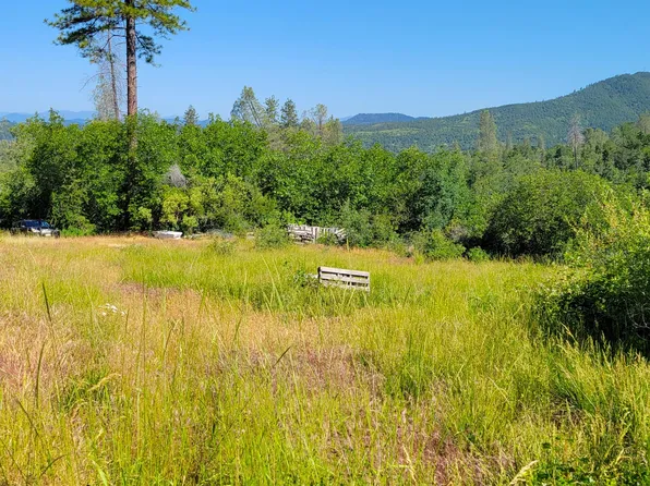 5 Gulch Rd, Round Mountain, CA 96084