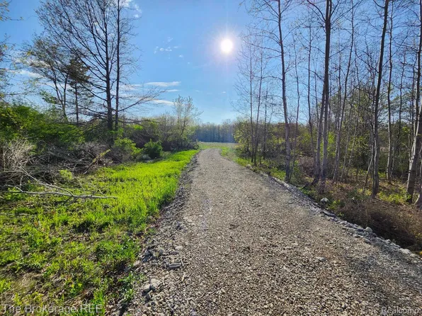 12694 Sheridan Rd, Burt, MI 48417