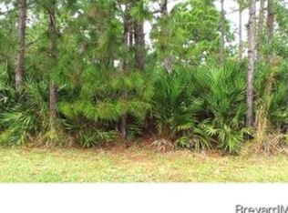 1233 Rayfield St SE, Palm Bay, FL 32909