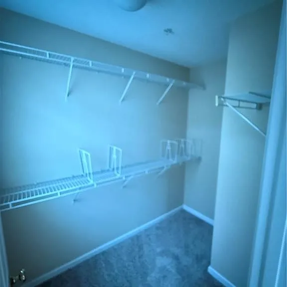161 Riverstone Commons Cir — Photo 11