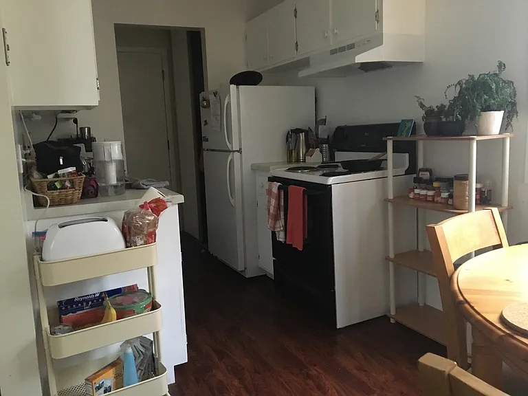 515 4th St SE #301 — Photo 6