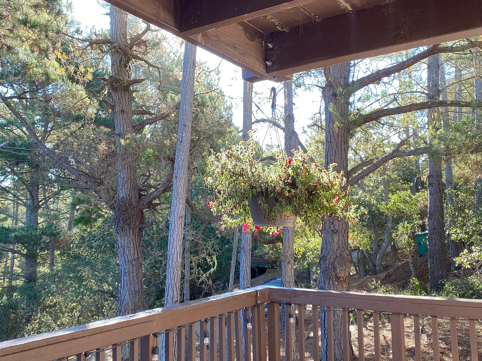 2 bed, 1568 sqft, $3,800 — Photo 3