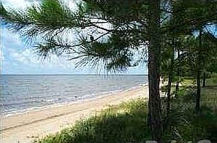 2nd image of 1136 Oyster Bay Dr