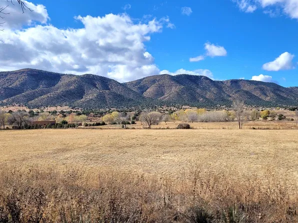 98 Ortiz Rd, Hanover, NM 88041