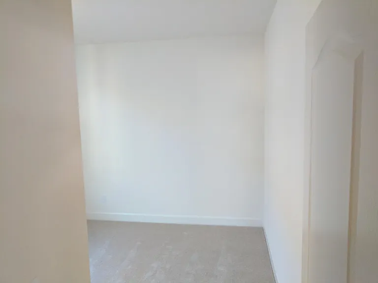 58 Palma Harbour Pl — Photo 25