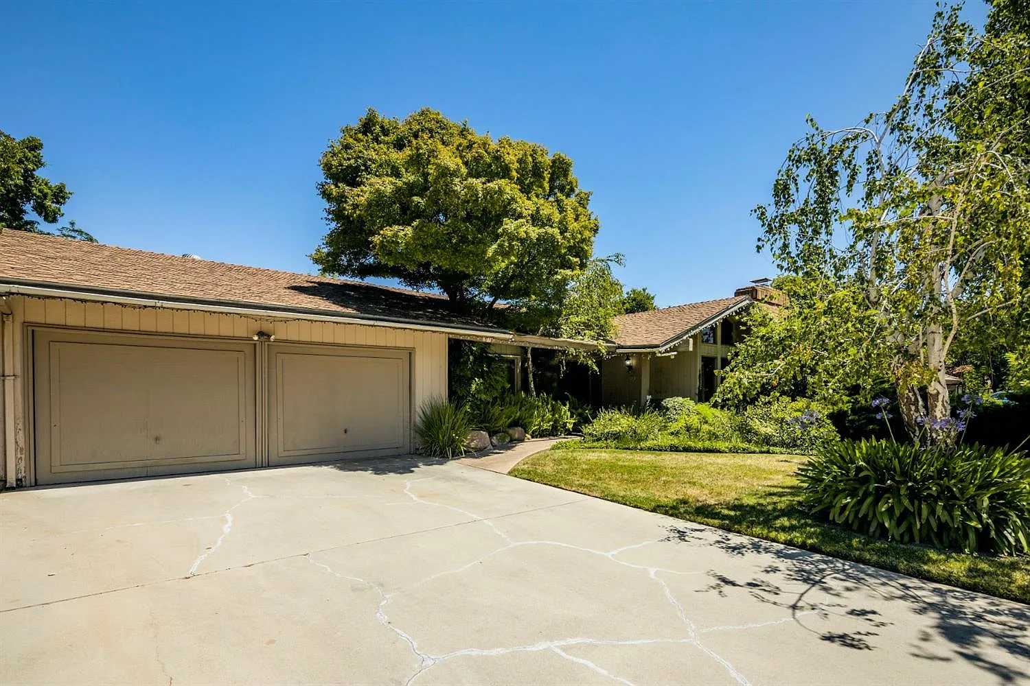 6538 N Valentine Ave photo 1