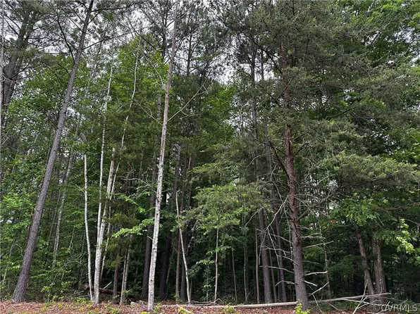 LOT N1 Eastham Rd Lot N1, Bumpass, VA 23024