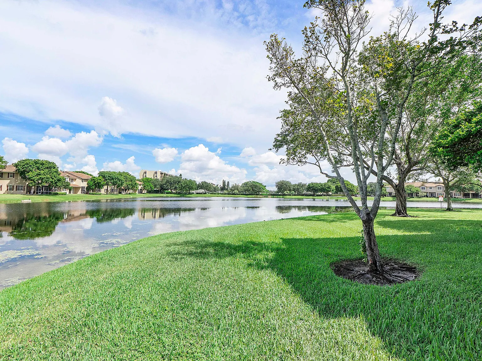 3 bed, 2.5 bath, 1924 sqft, $3,600 — Photo 1