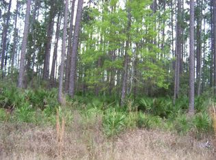 203 Thompson Ave, Interlachen, FL 32148