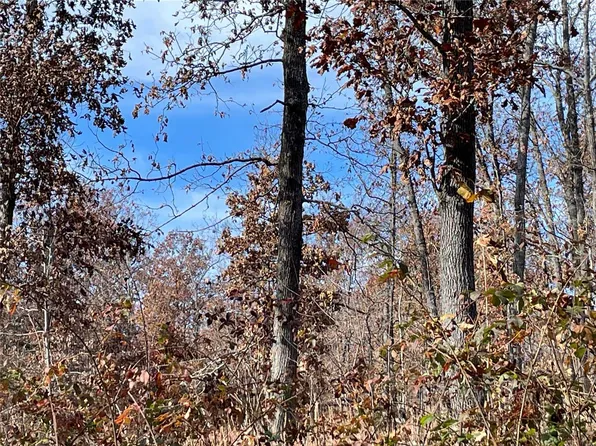 0 County Road 380, Patterson, MO 63956