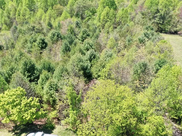 Buckwoods Rd, Woodlawn, VA 24381