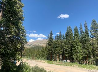 51 Kimmes Ln, Breckenridge, CO 80424