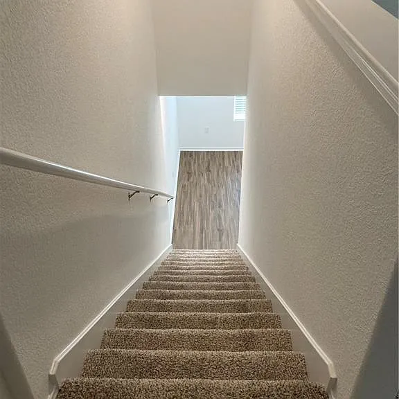 7204 Dancing Wind Ln — Photo 19
