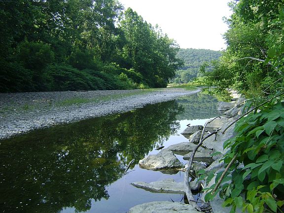 Seeley Creek downstream