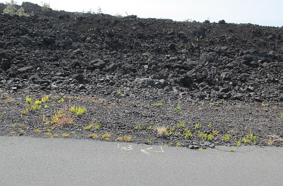 4th image of 92-1072 Kona Gardens Rd Lot 62
