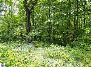 20322 Stanton Rd, Thompsonville, MI 49683