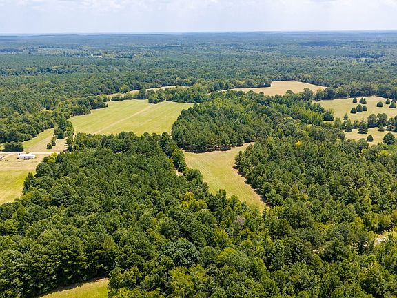 24 Acres Shandy Road 4