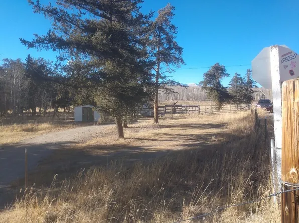 594 4th St, Fairplay, CO 80440