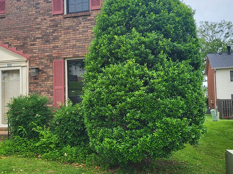 404 Brentwood Point — Photo 1