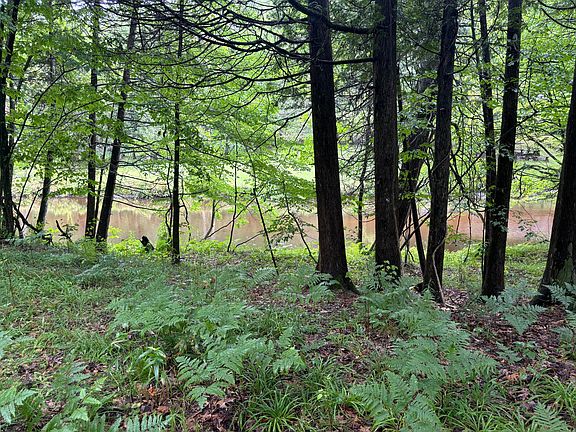 2nd image of LOT 10 E Anne Dr