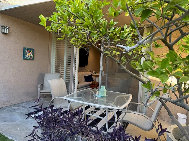 Back patio.