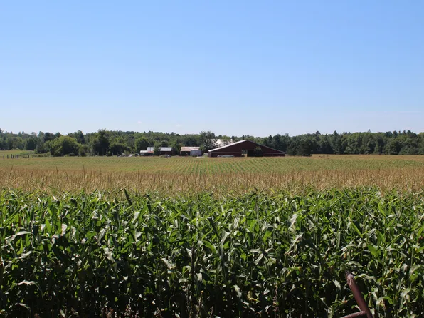 6360 Glendale Rd, Evart, MI 49631