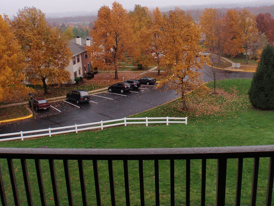 View from the Balcony