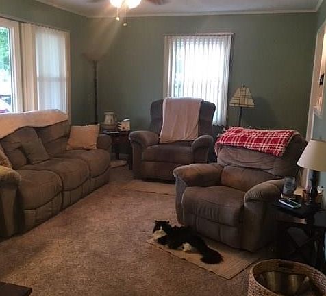 5th image of 4119 Black River Cir