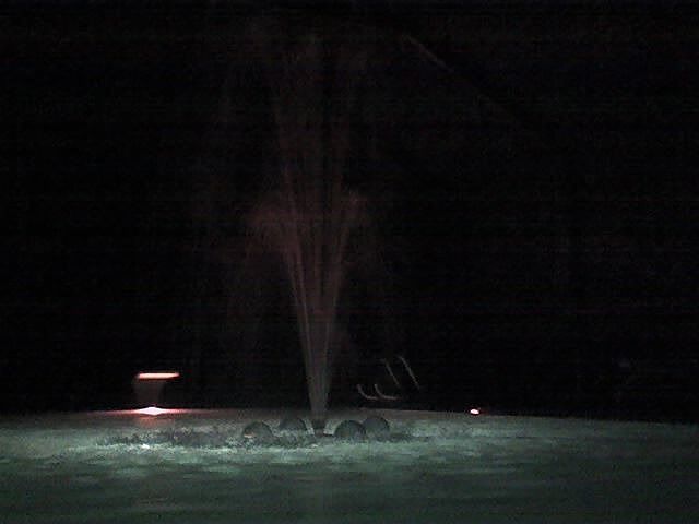 40' X 20' HEATED POOL