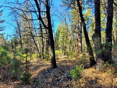 59791 Highway 70, Blairsden Graeagle, CA, 96103
