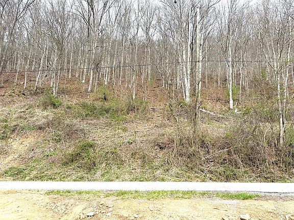 4th image of 16023 Brushy Rd