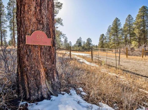 699 N Lakeside Drive, Durango, CO 81301