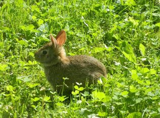 W7736 Park Ave, Holmen, WI 54636