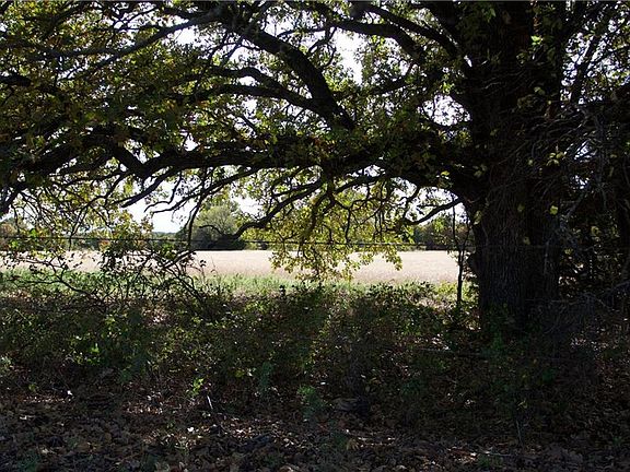 5th image of 340 County Road 2886