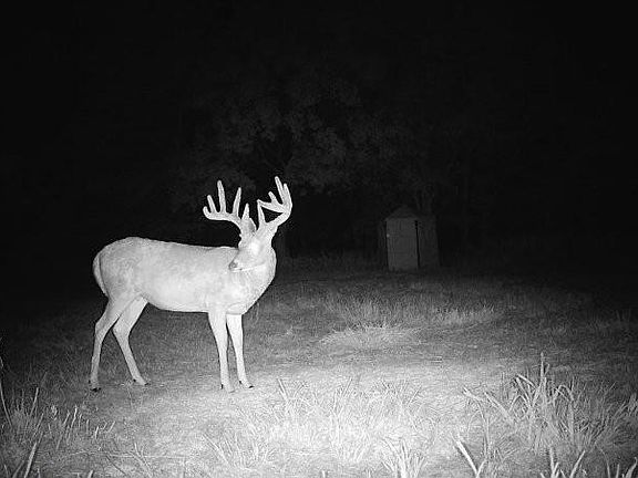 2nd image of 0 SE 900th Rd