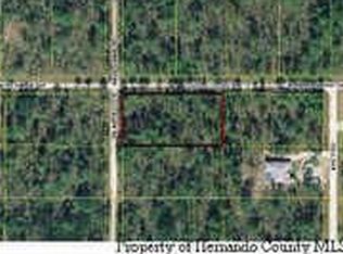 11090 Florida Wren Ave, Weeki Wachee, FL 34614