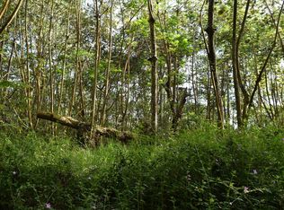 Hilo Rd LOT 693, Pahoa, HI 96778
