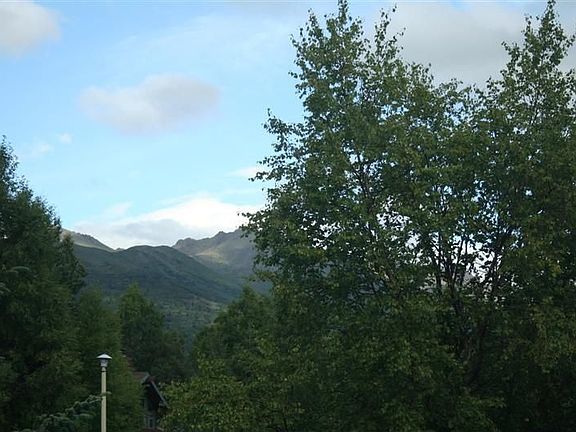 Mountain Views