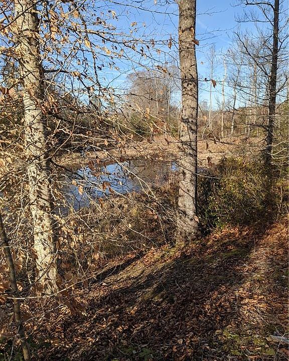 2nd image of 0 Pea Ridge Rd