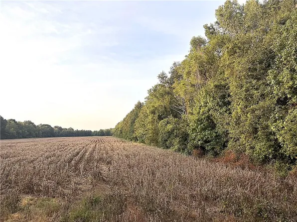 180 Highway Lot 1, Plaucheville, LA 71362
