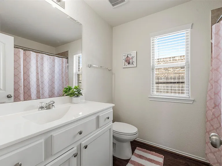 26006 Windy Prairie Ct — Photo 26