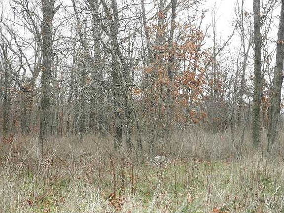 3rd image of ROUTE1 Road #589