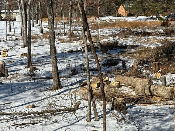 2nd image of 207 Glen Haven Dr