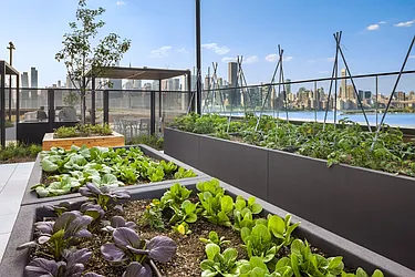 Rented by Gotham Organization