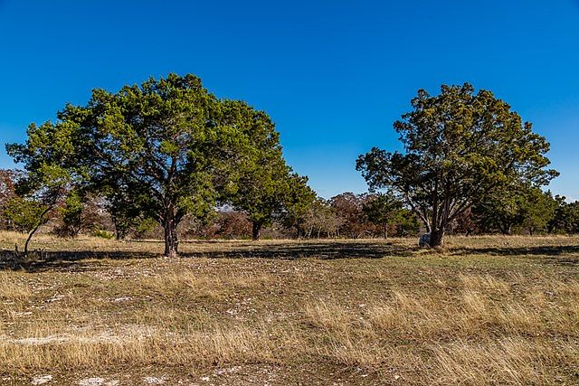 1st image of 417 Cypress Estates Pkwy W