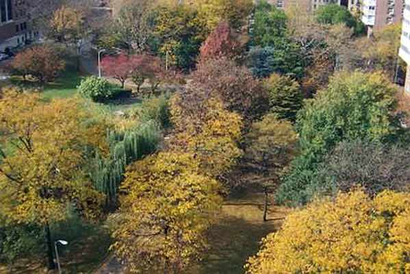 Sold by Ann Ferguson, LLC | media 14