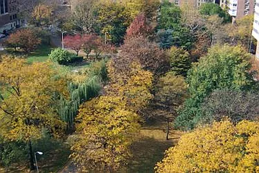 Sold by Ann Ferguson, LLC