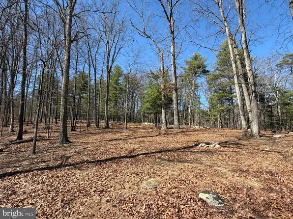 LOT 43 Rapids Point Trl, Great Cacapon, WV 25422