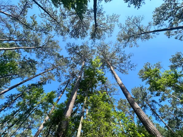 Nolan Felder Rd, Magnolia, MS 39652
