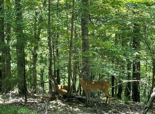 63 Bear Track Trl, Morganton, GA 30560